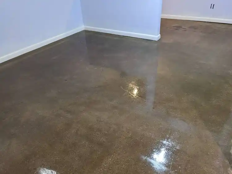 Bella Rocca basement concrete floor with a natural sealer-only finish